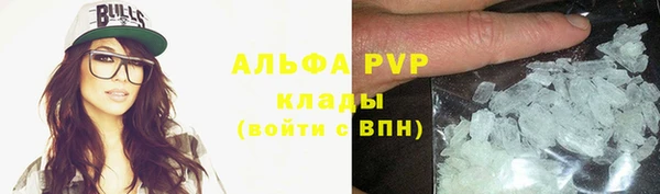 PSILOCYBIN Ладушкин