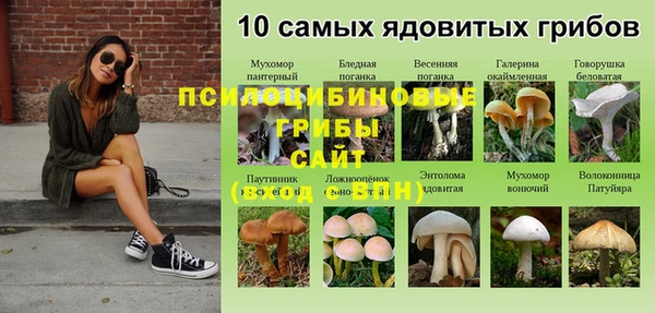 PSILOCYBIN Ладушкин