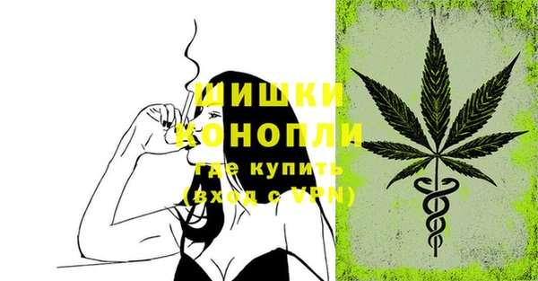 PSILOCYBIN Ладушкин