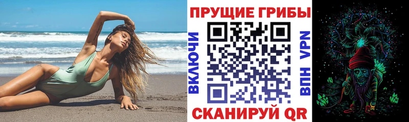 Купить где Корсаков Галлюциногенные грибы Psilocybine cubensis